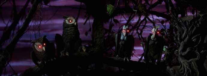 Would y’all go through the haunted forest in The Wizard of Oz? Why or why not?