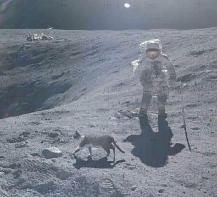 Where were you 55 years ago?