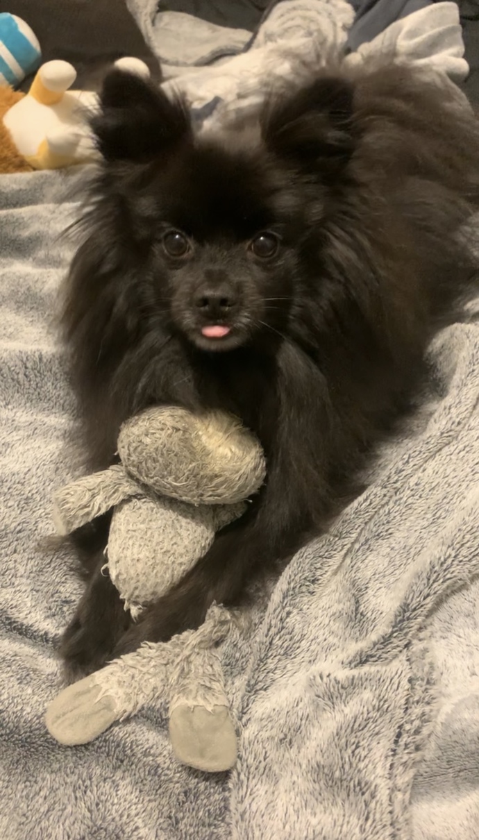 🥰🥰