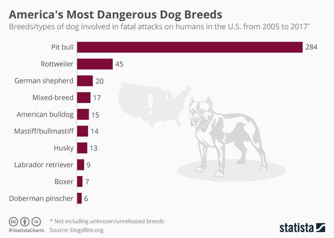 Is it really the owner's fault all the time when a dog gets out of control?
