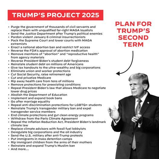Do you believe Project 2025 will destroy the U. S. A?