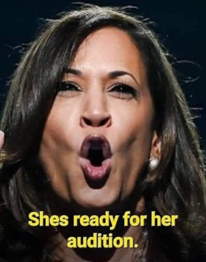 Biden Endorses? Harris? what do you think?