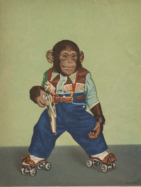 ZIPPY The CHIMP