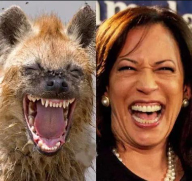 If the Democrats care about democracy so much why did their party bosses force Biden out after millions of Democrats elected him in their primary?