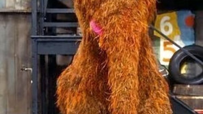 Which side sesame street character do you like the most?