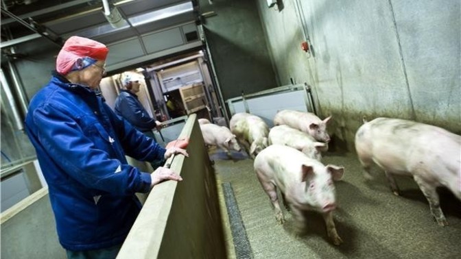 Would you date someone who works in a slaughterhouse?