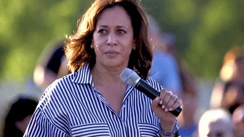 Highly intelligent African-American woman, {District Attorney for 3 decades} just entered into the mix; are you concerned for your baby-boy Trump?