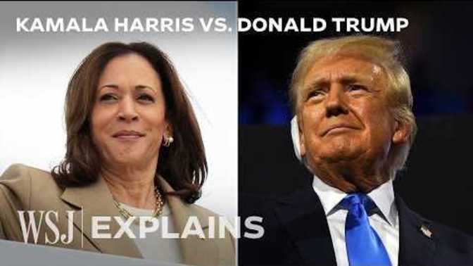 Highly intelligent African-American woman, {District Attorney for 3 decades} just entered into the mix; are you concerned for your baby-boy Trump?