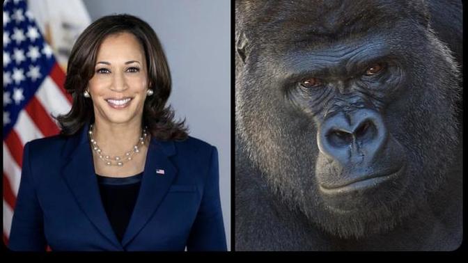 Can republicans just NOT be racist and sexist? is that possible?
