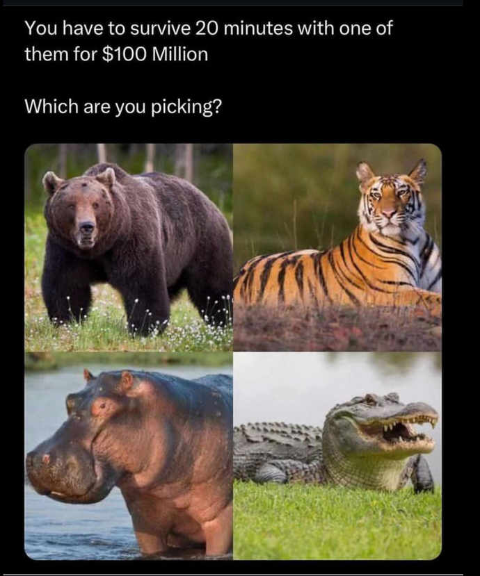 Which one do y’all choose for 100 million dollars?