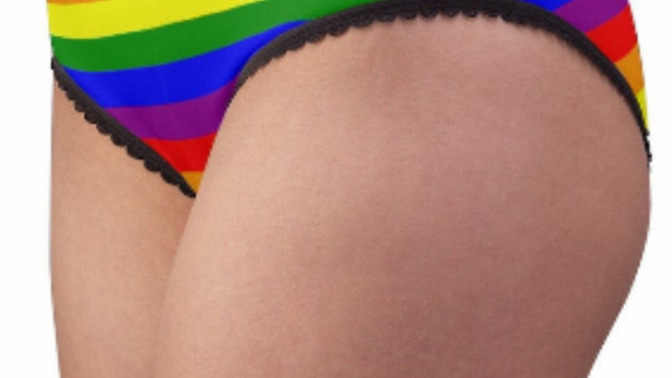 Are the Panties in the picture for guys or girls?