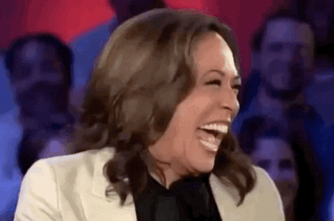 The DNC announced that any challengers to Kamala have until Saturday to declare. Does it seem like the Democrat voters have little to say in this?