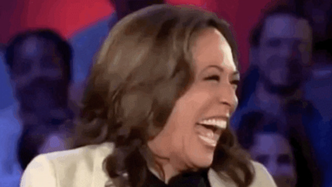 The DNC announced that any challengers to Kamala have until Saturday to declare. Does it seem like the Democrat voters have little to say in this?
