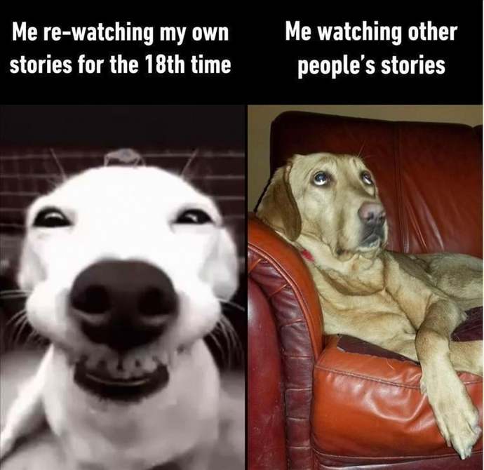 Can someone explain social media “Stories” to me without linking to anything?