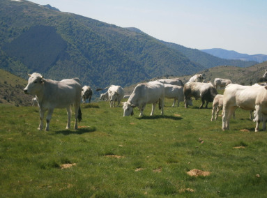 What's it like where you live?