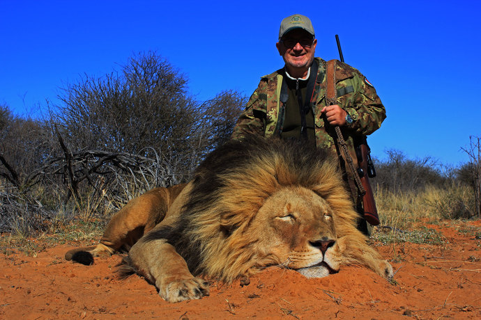 Legal Lion hunting