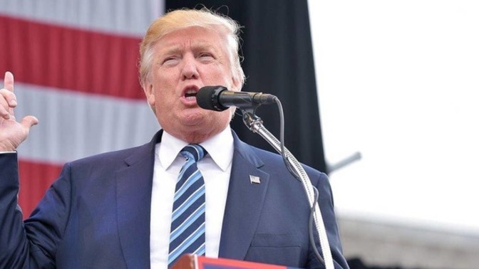 What did Trump mean by this?