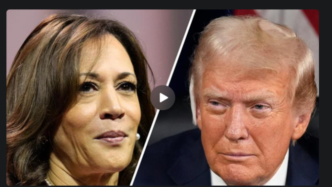 What did Trump mean by “You won’t have to vote anymore…it’ll be fixed”?