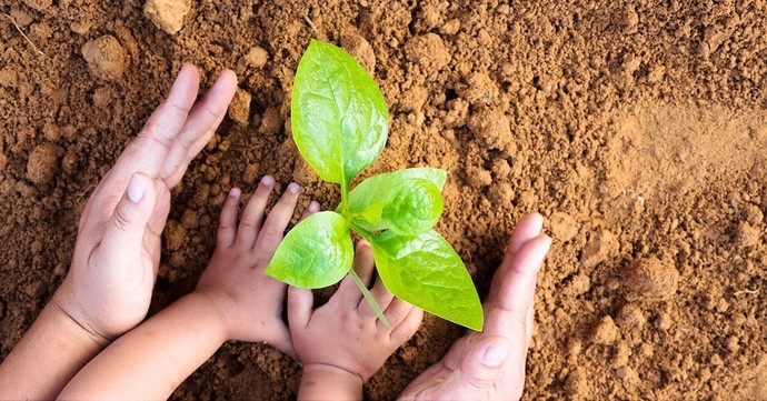 What legacy do you plan on leaving behind?