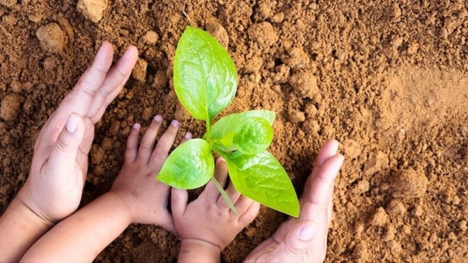 What legacy do you plan on leaving behind?