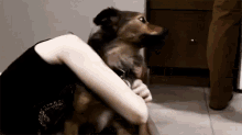 Do you have cuteness aggression?