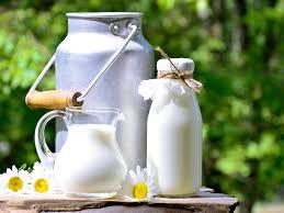 Did you know drinking milk is actually good for losing weight?