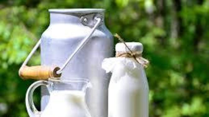Did you know drinking milk is actually good for losing weight?