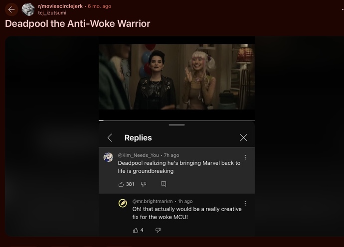 Isn’t it funny that the white anti-woke think these Hollywood Studio movies are for them?