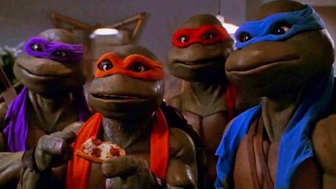 🐢