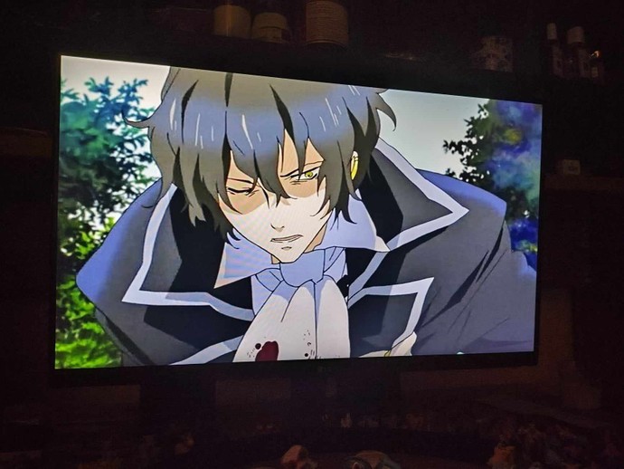Do you like watching anime?