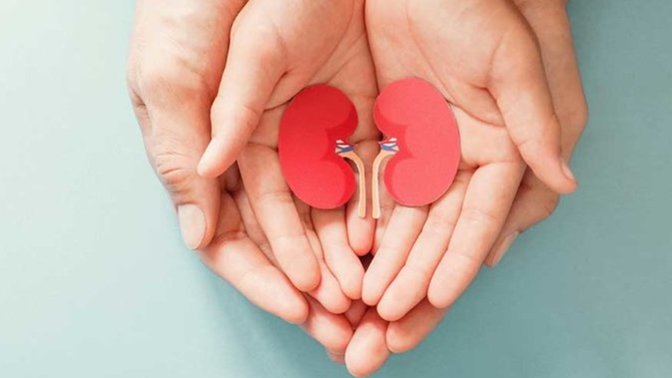 Would you donate an organ to a loved one even if it meant that it shortened your life?