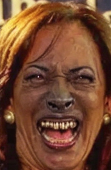 ha ha ha ha ha ha ha