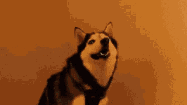 Are you loud when you sneeze?