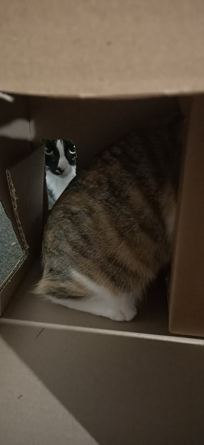 Do you ever feel like youre being watched?