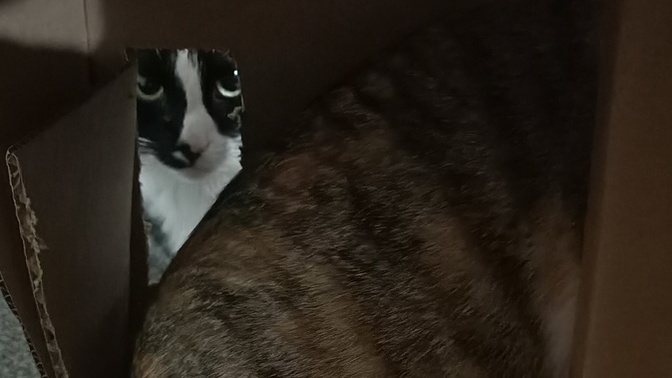 Do you ever feel like you're being watched?