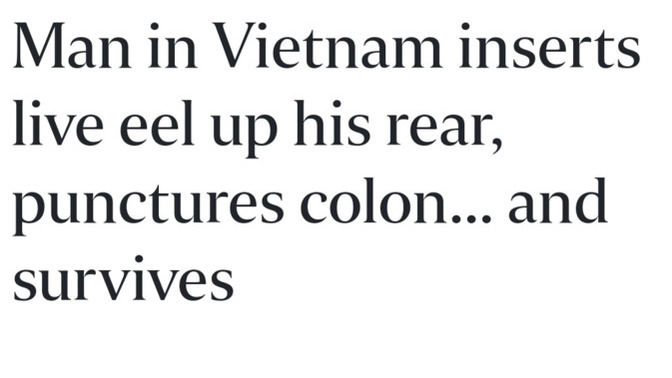 🤣🤣🤣Are you aware that you should never insert an eel up your anus?
