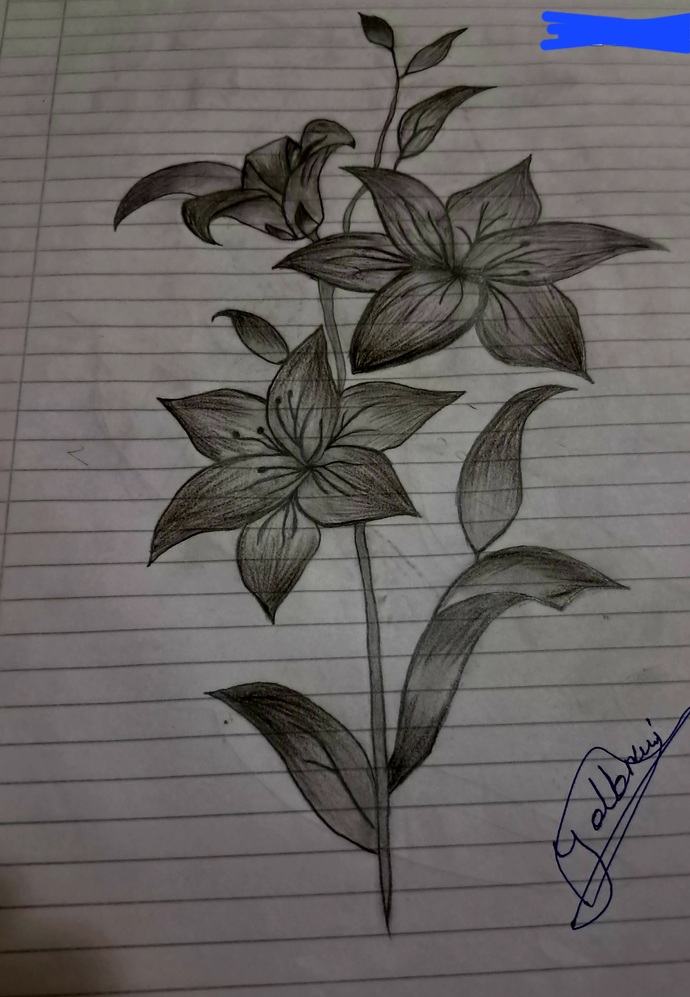 Do you like drawing? ?