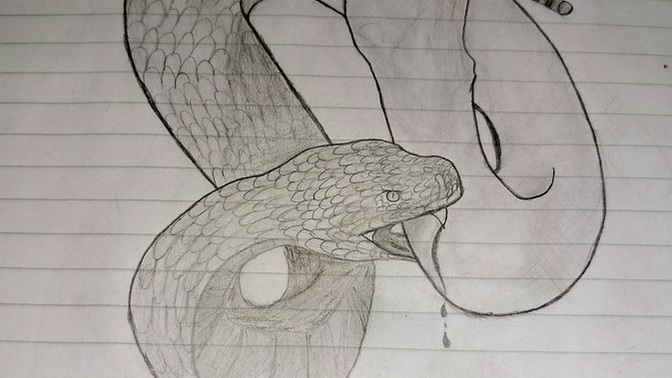 Do you like drawing? ?