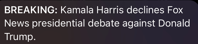 Why are democrats always cheating?