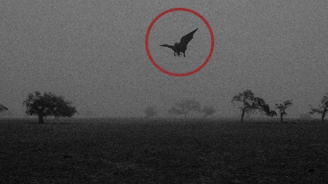 Have you ever heard of a Manananggal?