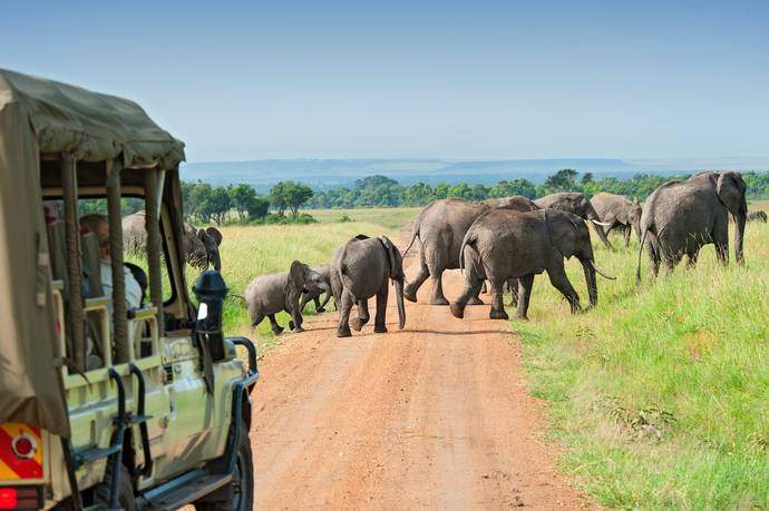 Which of these vacation ideas sounds the best?