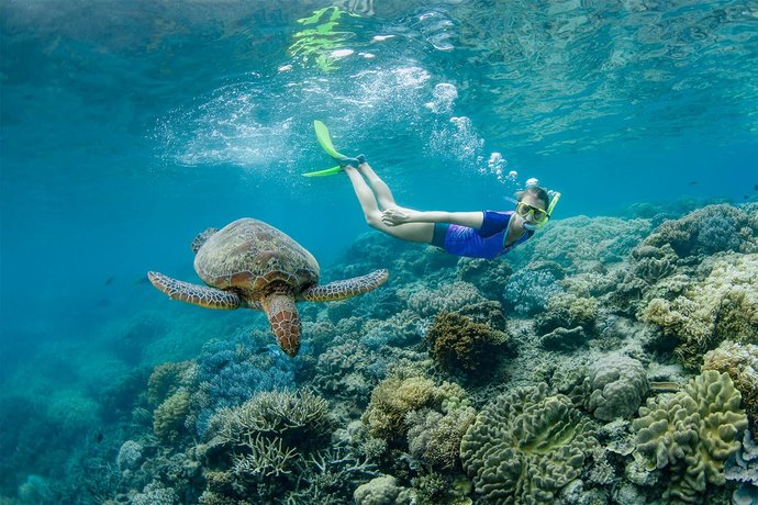 Which of these vacation ideas sounds the best?
