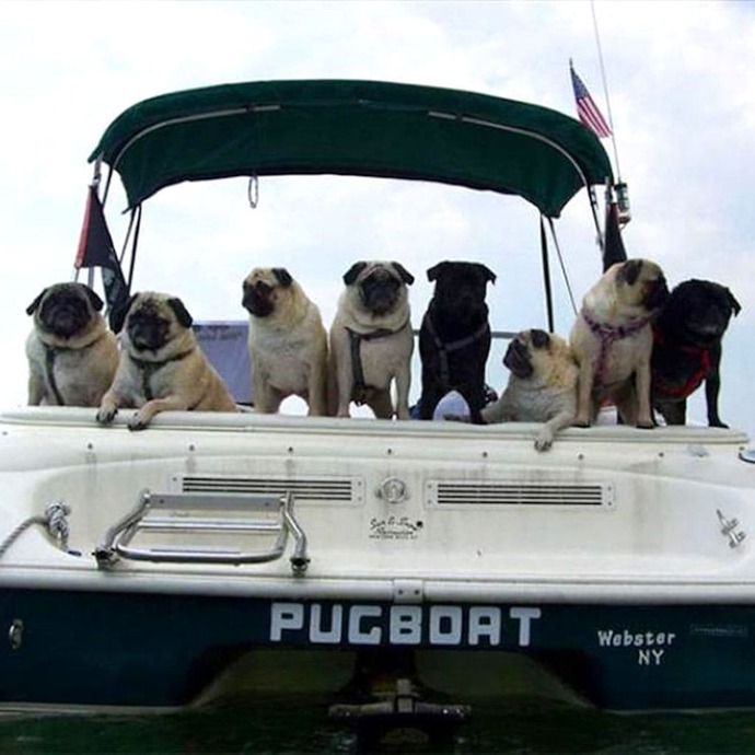 If you had a boat, what would you name it?