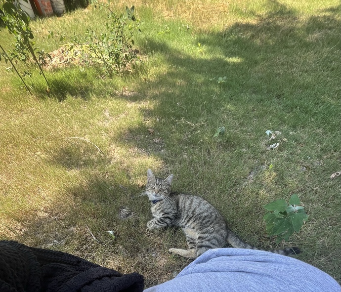 Let’s share our fur babies?
