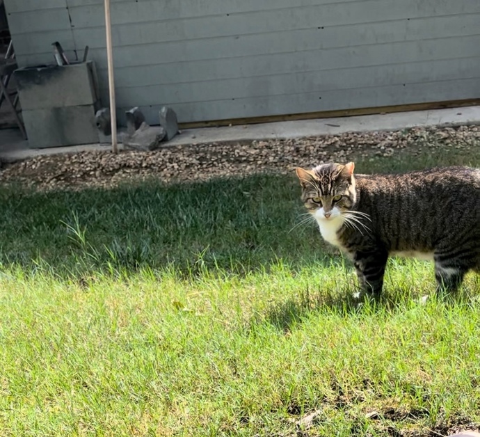 Let’s share our fur babies?
