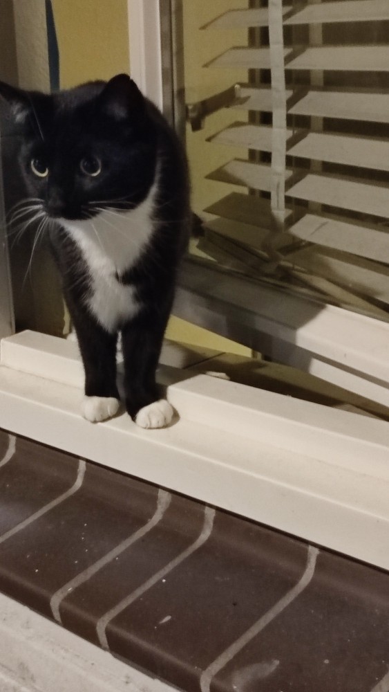 Let’s share our fur babies?