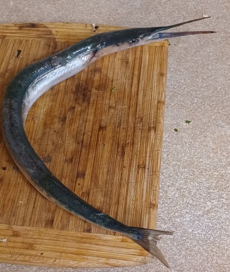 Have you ever eaten garfish?
