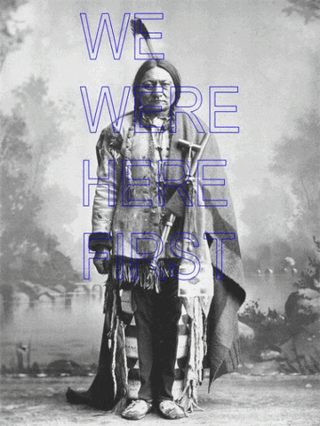 Is it embarrassing that "European Disease Wiped Out 90% of Native Americans", the US wasn't stolen by skill, it was overpowered by Diseases?