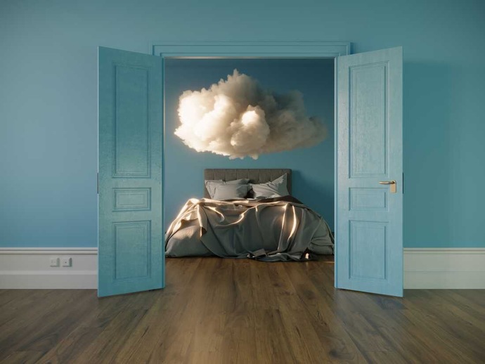 How do dreams 💭✨ function/work?