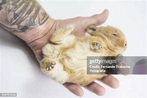 Not my hand